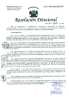Vista preliminar de documento Resolución de Dirección General