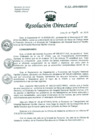 Vista preliminar de documento Resolución de Dirección General