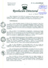 Vista preliminar de documento Resolución de Dirección General