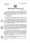 Vista preliminar de documento Resolución de Dirección General