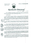Vista preliminar de documento Resolución de Dirección General