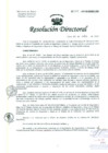 Vista preliminar de documento Resolución de Dirección General