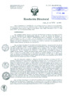 Vista preliminar de documento Resolución de Dirección General
