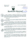 Vista preliminar de documento Resolución de Dirección General