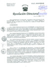 Vista preliminar de documento Resolución de Dirección General