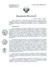 Vista preliminar de documento Resolución de Dirección General