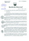 Vista preliminar de documento Resolución de Dirección General