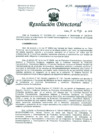 Vista preliminar de documento Resolución de Dirección General