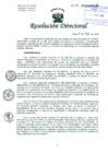 Vista preliminar de documento Resolución de Dirección General