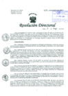 Vista preliminar de documento Resolución de Dirección General