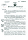 Vista preliminar de documento Resolución de Dirección General