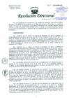 Vista preliminar de documento Resolución de Dirección General