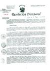 Vista preliminar de documento Resolución de Dirección General