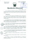 Vista preliminar de documento Resolución de Dirección General