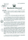 Vista preliminar de documento Resolución de Dirección General