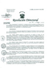 Vista preliminar de documento Resolución de Dirección General