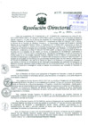 Vista preliminar de documento Resolución de Dirección General