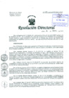 Vista preliminar de documento Resolución de Dirección General