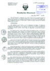 Vista preliminar de documento Resolución de Dirección General