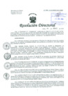 Vista preliminar de documento Resolución de Dirección General