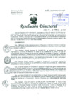 Vista preliminar de documento Resolución de Dirección General