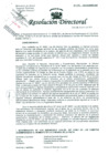 Vista preliminar de documento Resolución de Dirección General