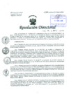 Vista preliminar de documento Resolución de Dirección General