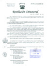 Vista preliminar de documento Resolución de Dirección General