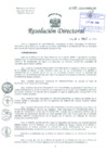 Vista preliminar de documento Resolución de Dirección General