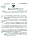Vista preliminar de documento Resolución de Dirección General