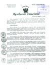 Vista preliminar de documento Resolución de Dirección General