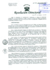 Vista preliminar de documento Resolución de Dirección General