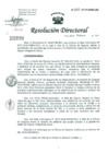 Vista preliminar de documento Resolución de Dirección General