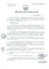 Vista preliminar de documento Resolución de Dirección General