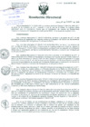 Vista preliminar de documento Resolución de Dirección General
