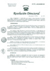 Vista preliminar de documento Resolución de Dirección General