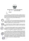 Vista preliminar de documento Resolución de Superintendencia