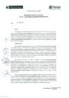 Vista preliminar de documento RDE080-2017