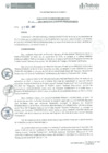 Vista preliminar de documento RDE110-2017