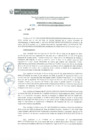 Vista preliminar de documento RDE024-2019