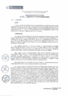 Vista preliminar de documento RDE041-2019