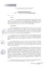Vista preliminar de documento RDE069-2019