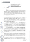 Vista preliminar de documento RDE074-2019
