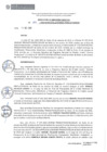 Vista preliminar de documento RDE089-2019