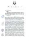 Vista preliminar de documento R.D 315-2020.pdf