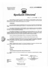 Vista preliminar de documento Resolución de Dirección Directoral
