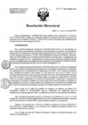 Vista preliminar de documento Resolución de Dirección Directoral