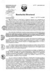 Vista preliminar de documento Resolución de Dirección Directoral