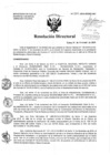 Vista preliminar de documento Resolución de Dirección Directoral