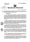 Vista preliminar de documento Resolución de Dirección Directoral
